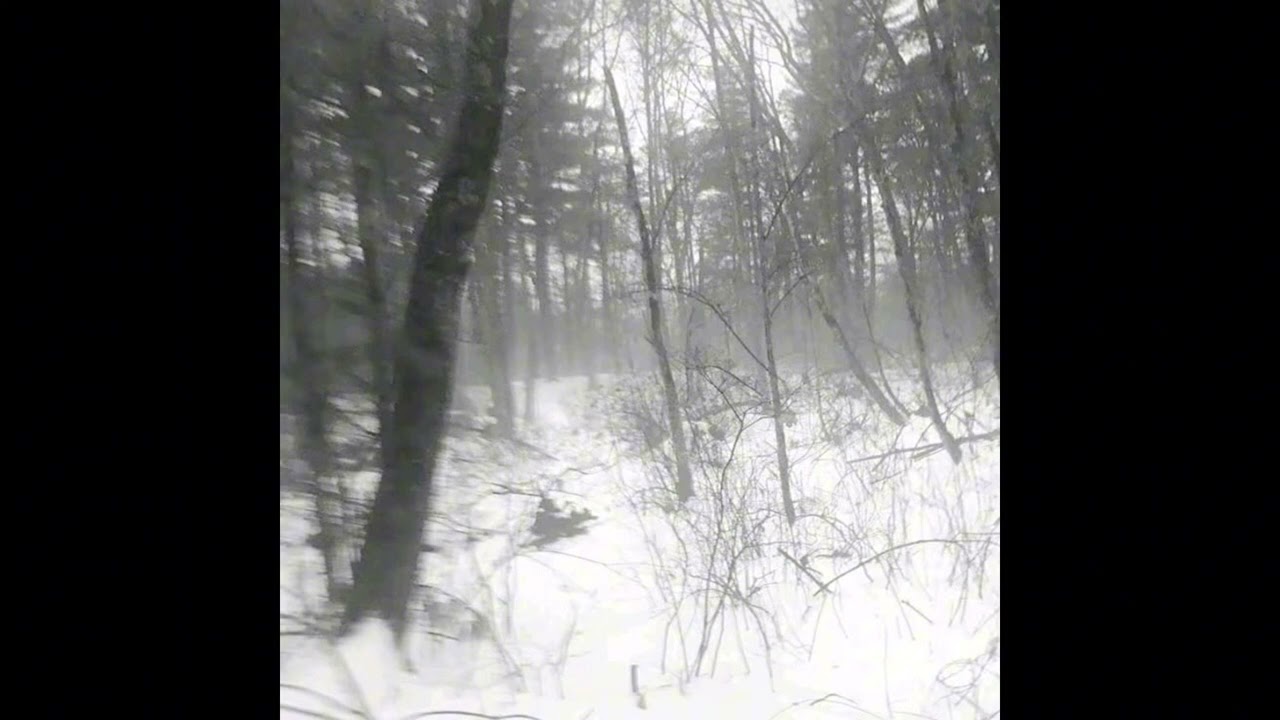 Indie Folk x Acoustic Guitar Type Beat - "Snowfall"