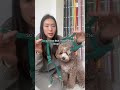 Here&rsquo;s how to put on our Cloud Lite Dog Harnesses! (part 4/5)