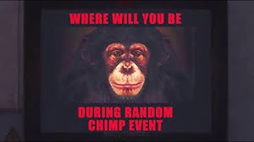 random chimp event