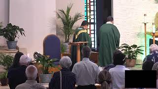 15th Sunday of Ordinary Time 8 AM Mass