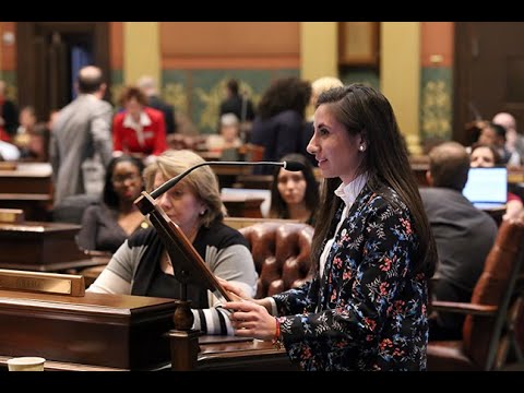 safety pin earrings Rep. Manoogian Passes Distracted Driving Awareness Day