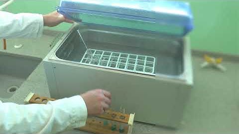 Edexcel Core Practical 9-1 GCSE SB1.13B Food Tests Chemical Reagent to identify Reducing Sugars