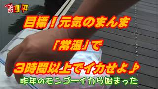 3時間以上イカを活かせよ！(151話目)