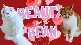 Waking up with Bean - February 2024 by Beauty and the Bean 1,713 views 3 months ago 20 minutes