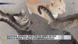 ABQ eastside animal shelter expanding operating days