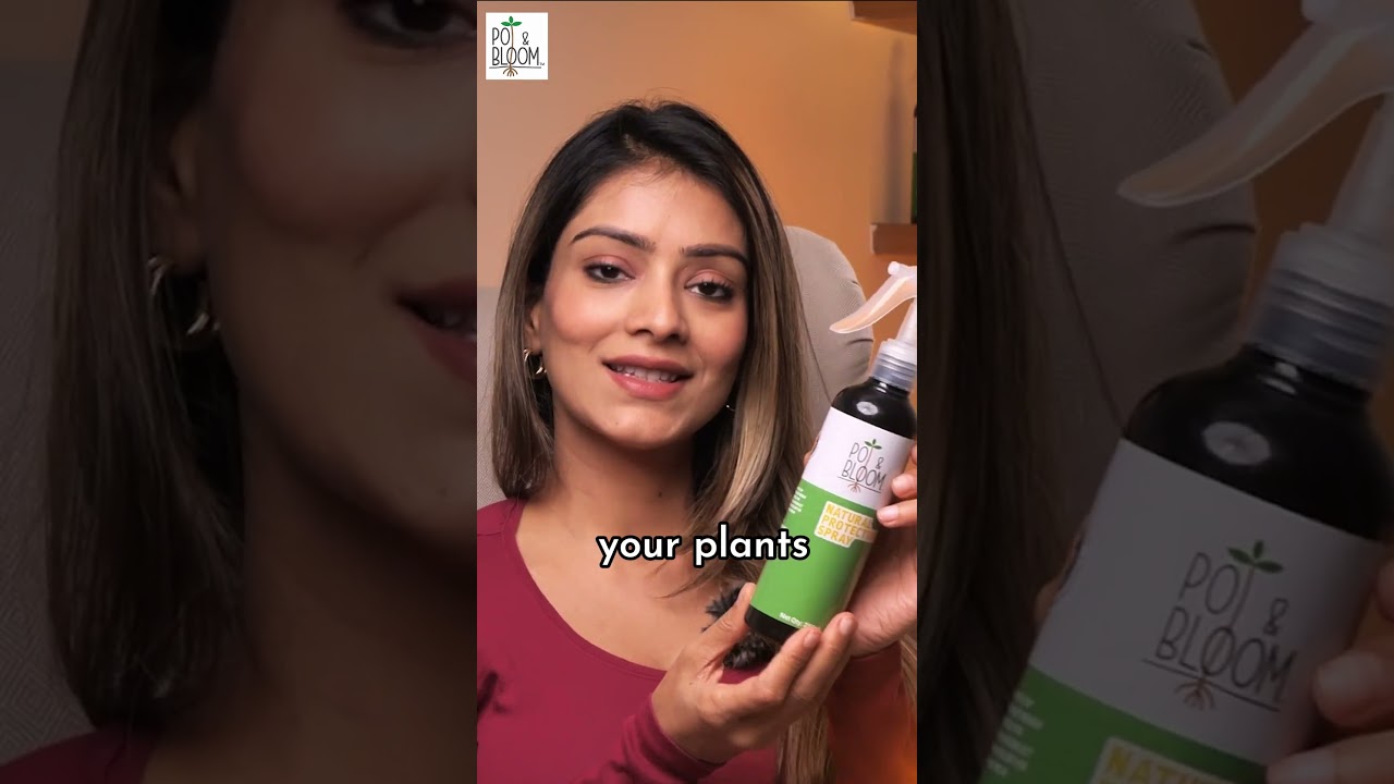 Natural Plant Protection Spray for Pest Control