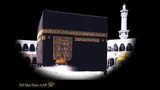 سورة الزلزلة الشيخ صلاح البدير