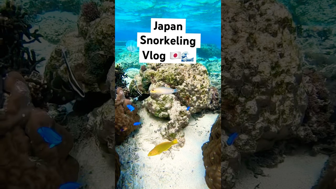 Okinawa is magical ☀️ 