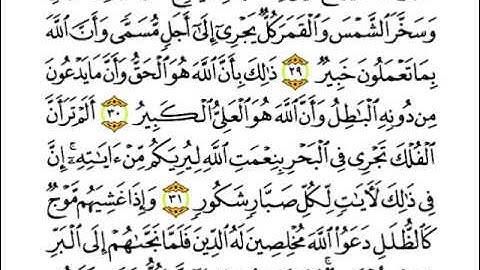 القاري صلاح الهاشم تلاوة خاشعة من سورة لقمان