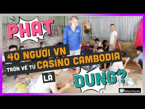 Dưa Leo Giờ Ra Sao - Phạt 40 người VN trốn về từ Casino Cambodia là ĐÚNG?  [KienThucNe - DLDBTT]