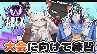 【APEX】カスタムに向けて練習する回【ケモノVtuber】