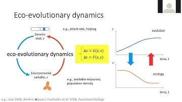 Eco-evolutionary dynamics under non-random interactions, Charles Mullon (Uni Lausanne) 2020.11.19