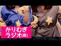 かりむぎラジオ(仮)第14回 ~オノマトペクイズ開幕!~
