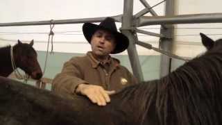 Gaited saddles vs Parelli Saddles Letitia interviews Todd Johnson