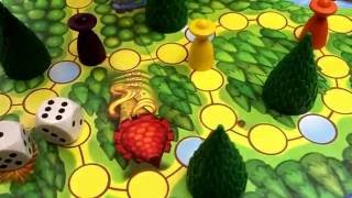 Enchanted Forest