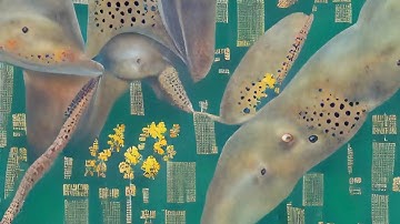 Entangled Others Studio - Hybrid Ecosystems