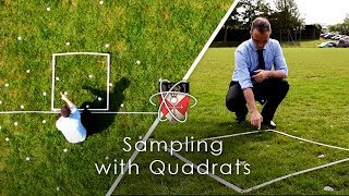 Sampling with Quadrats - GCSE Biology Required Practical