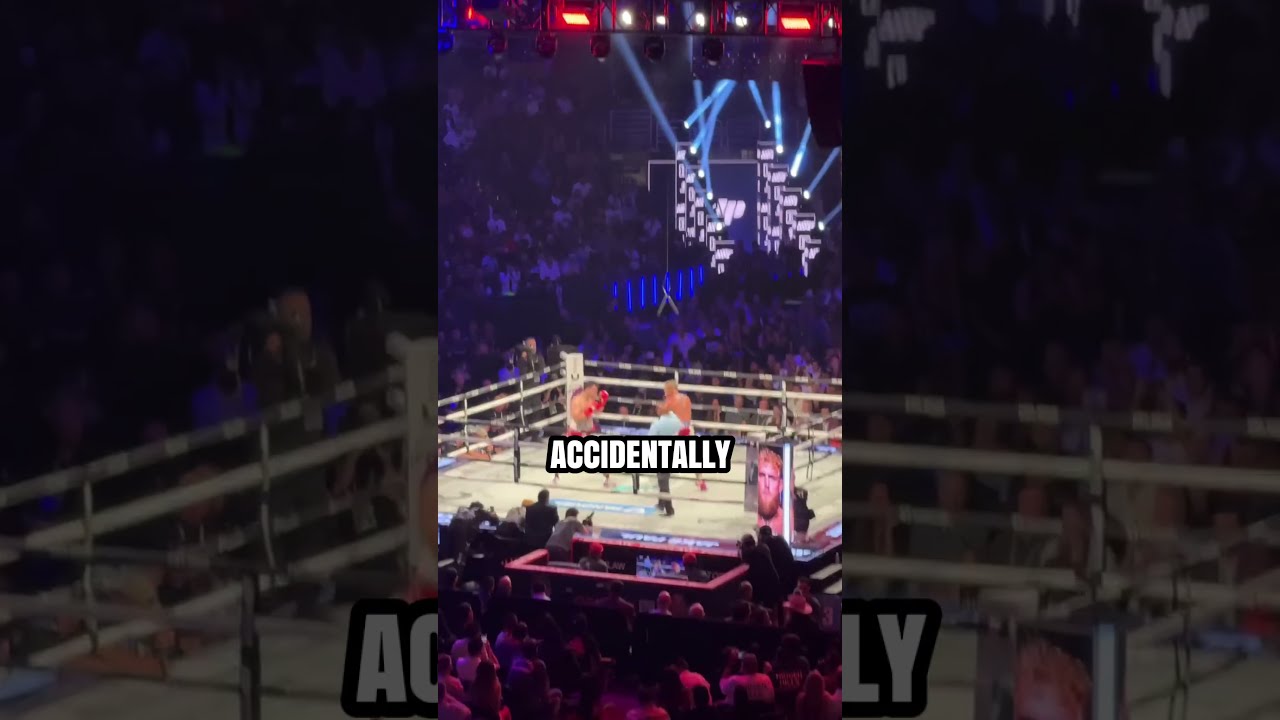 They Exposed Boxing Dadthegriller 