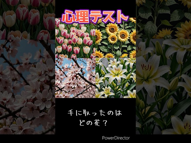 手に取った花によってやさしさ度が分かる心理テスト