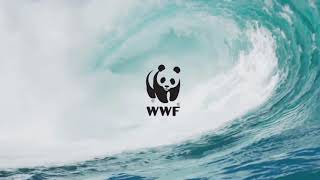 Greenway Global Social Eco Projects, WWF