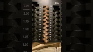 My Friends Piggy Bank Change Sorting And Hunting Ep1 coin coinrollhunting quarters