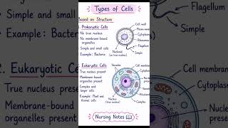 Types of Cell #nursingnotes #medicalstudent