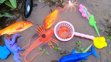 Thảocady bắt cá vàng ở ngoài mương và nhặt các con vật. con cá vàng, con khủng long, cá sấu. part-58