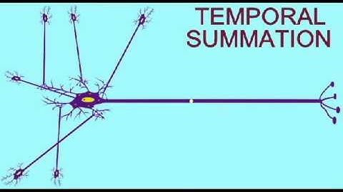 AP1: NEURONS: TEMPORAL SUMMATION.avi