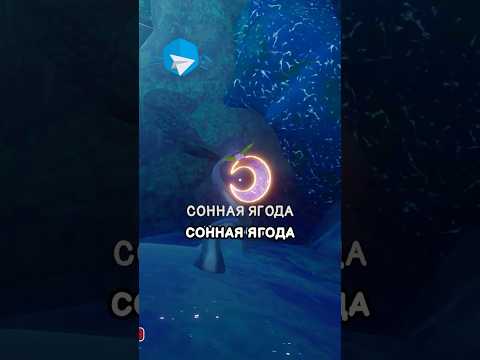 Почему сонная ягода на самом деле спасает игроков?