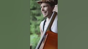 Thumbnail of Steve 'n' Seagulls | Live in Stoke | 17th October 2025