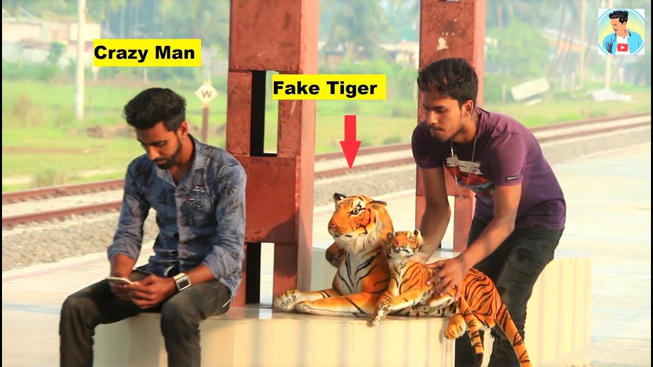 Fake Tiger Vs Man Scare Prank Video – So Funny Man Reaction With Fake Tiger | Dhamaka Furti