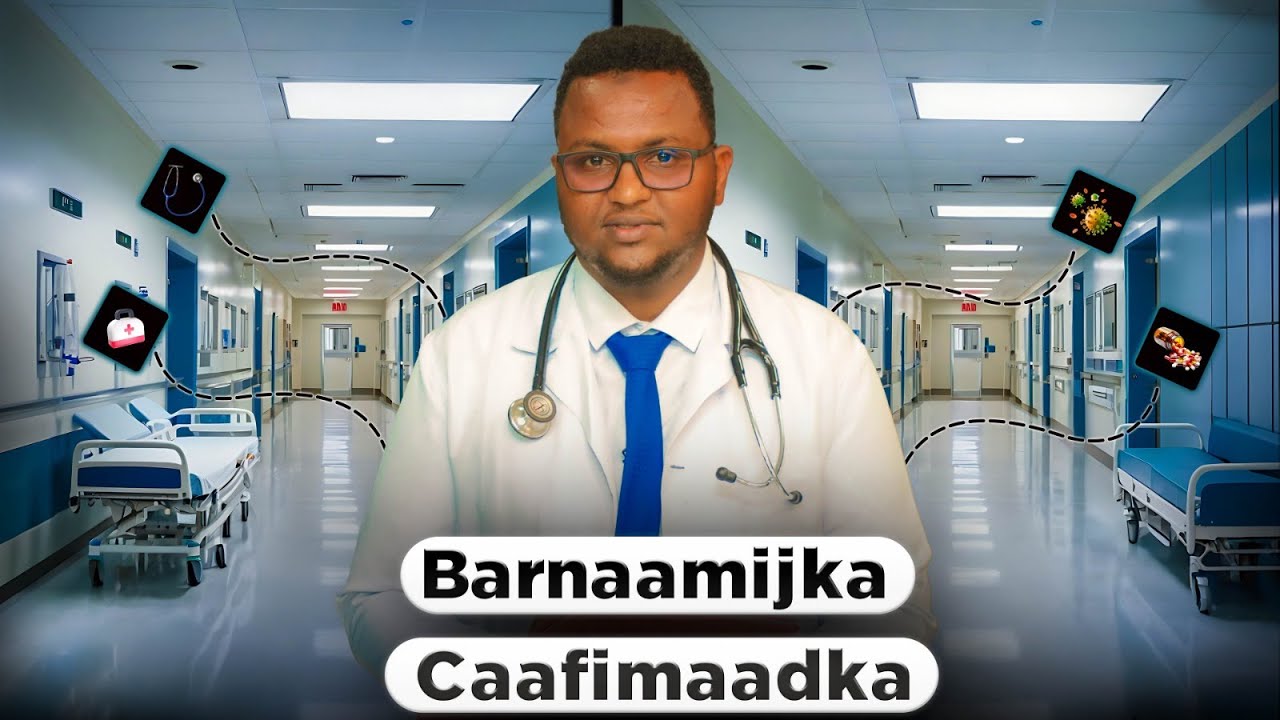 Что вызывает жировую дистрофию печени и как ее лечить? Программа «Здоровье»