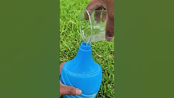 🥚🌿 Turn EGGSHELLS Into Powerful Garden Fertilizer! (Simple DIY Trick) 🌱✨ #garden #gardening #egg