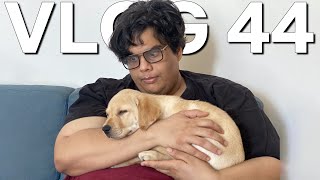 THE DOG VLOG - VLOG 44