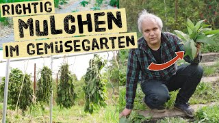 Jetzt kostenloses Mulchmaterial für den Sommer sammeln  Richtig Mulchen im Gemüsegarten