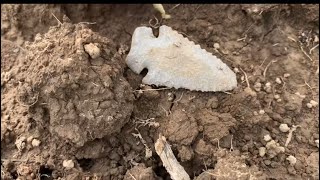 Kentucky Arrowhead Hunting Walking the Fields #37
