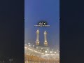 ✨ أفضل ذكر قاله النبي ﷺ  🤍