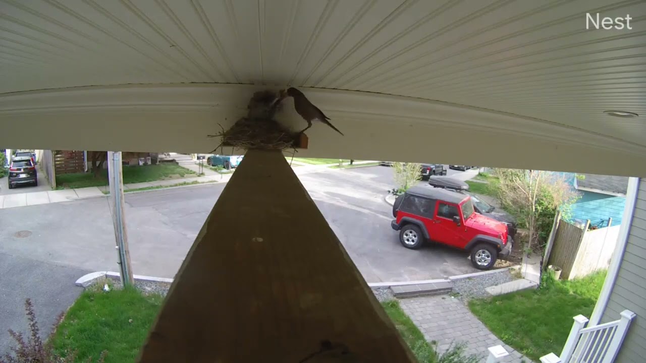 Sammett Spring Watch 2022