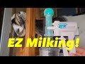 Milking Goat W/ Udderly EZ!