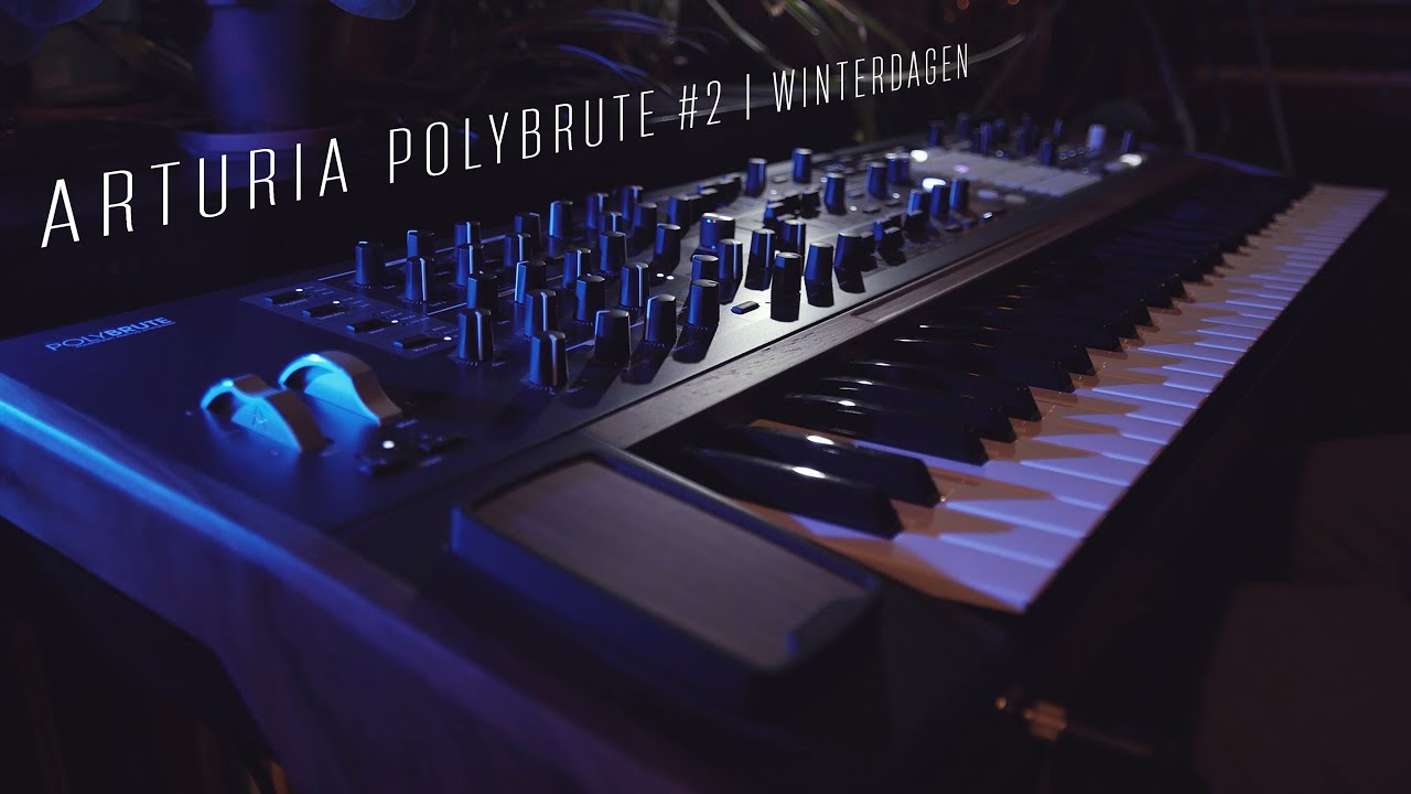 Arturia Polybrute #2  | Winterdagen