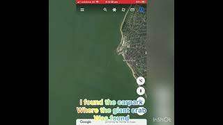 Giant crab found on Google maps screenshot 4