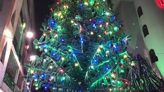 4k Video - Trang Trí Giáng Sinh screenshot 5