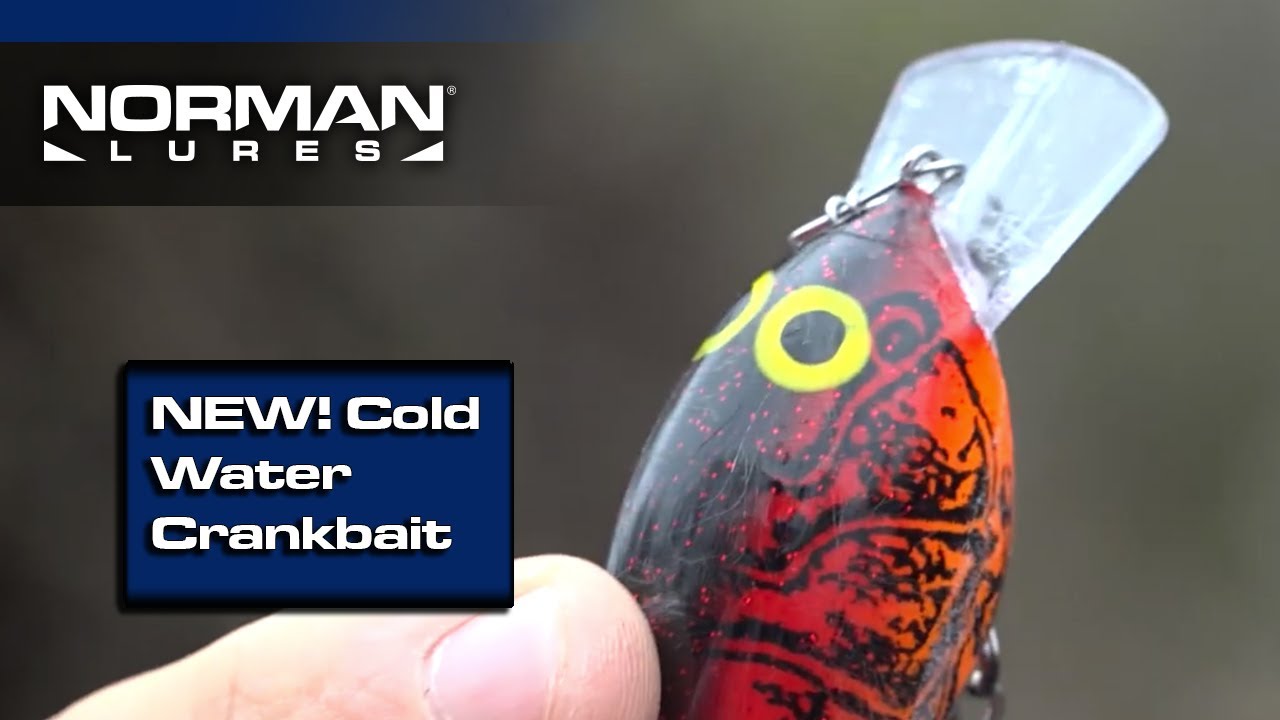 NEW* Norman Speed N Crankbait (Cold Water Bass Fishing) 