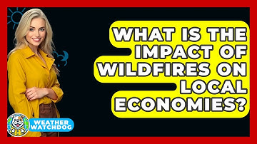 What Is The Impact Of Wildfires On Local Economies? - Weather Watchdog