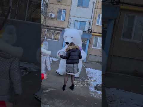 Красиво поздравили у подъезда 💐 девушка не ожидала такого 🔥🔥🔥 #белыймедведьволжский #белыймедведь