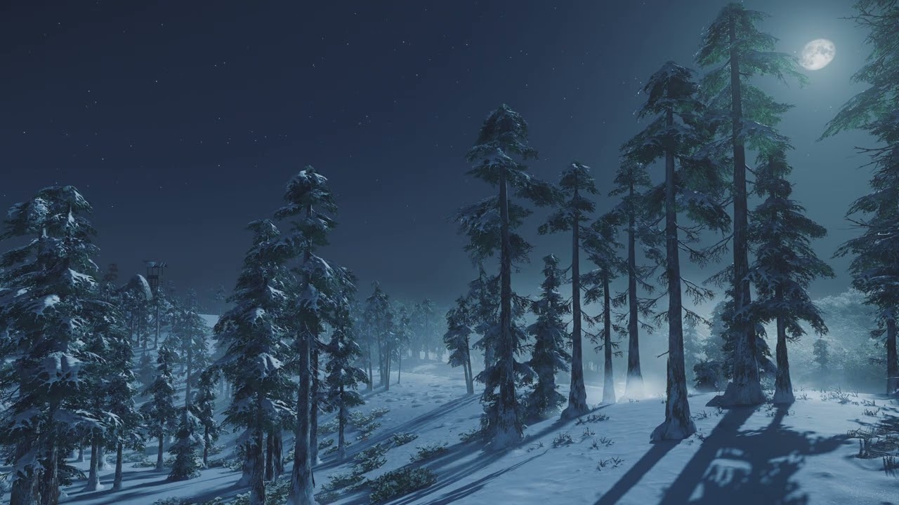 Frozen Forest Sounds | Peaceful Winter Ambience, Cold Windy Weather forest ❄️ Clear weather