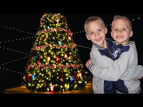 Christmas Trees Across America