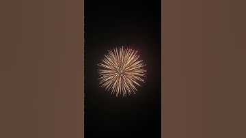 6 inch display shell firework (brocade crown to red strobe )锦冠变红闪