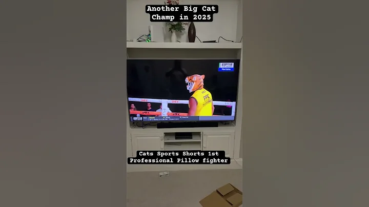 Video 10200181: cat fight, f1