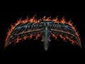 INTRODUCTION: MULLET FORCE